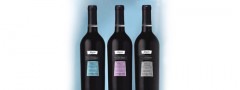 promerlot1_ft promerlot1_ft