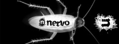 Nervo Skate Boards